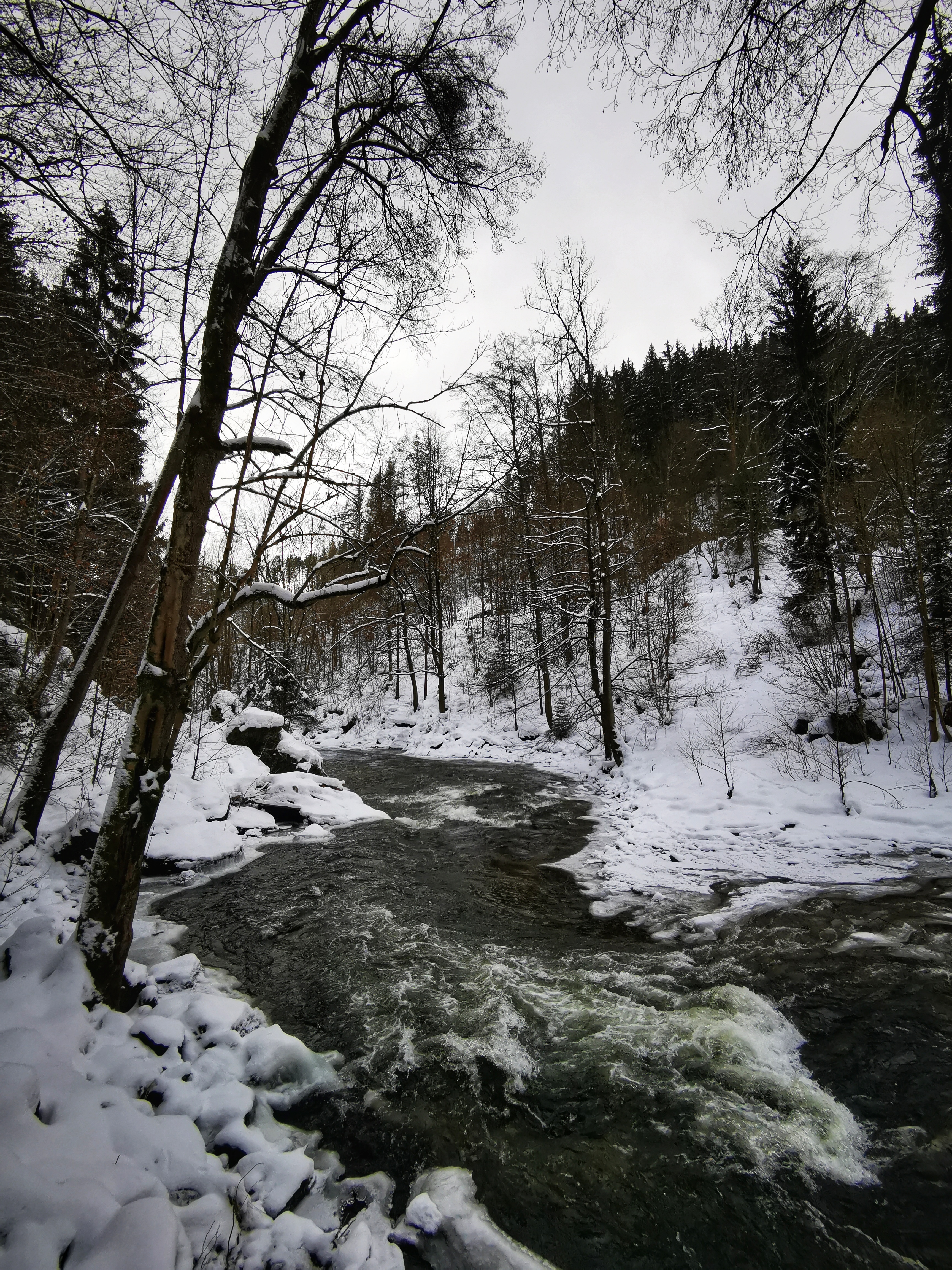 Kamenice river, Czech Republic
